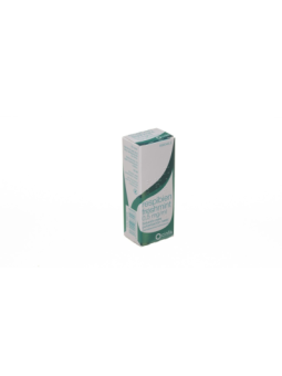 RESPIBIEN FRESHMINT 0,5 MG/ML SOLUCION PARA PULV