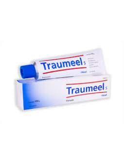 TRAUMEEL S POMADA 1 TUBO 100 G