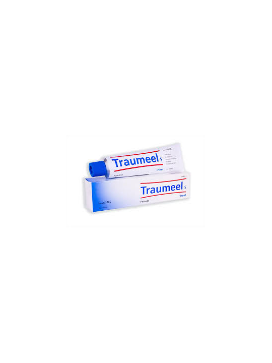 TRAUMEEL S POMADA 1 TUBO 100 G