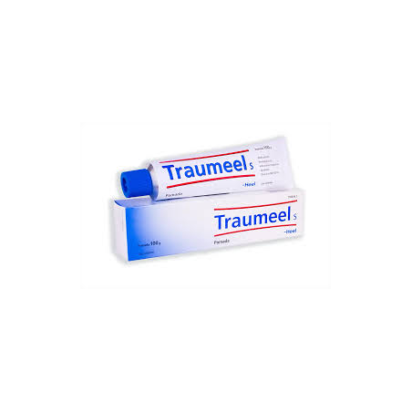 TRAUMEEL S POMADA 1 TUBO 100 G