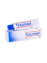 TRAUMEEL S POMADA 1 TUBO 100 G
