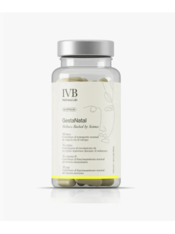 IVB GESTANATAL 60 CAPSULAS