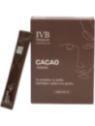 IVB PROTEINA STICK DE CACAO 10 UNIDADES