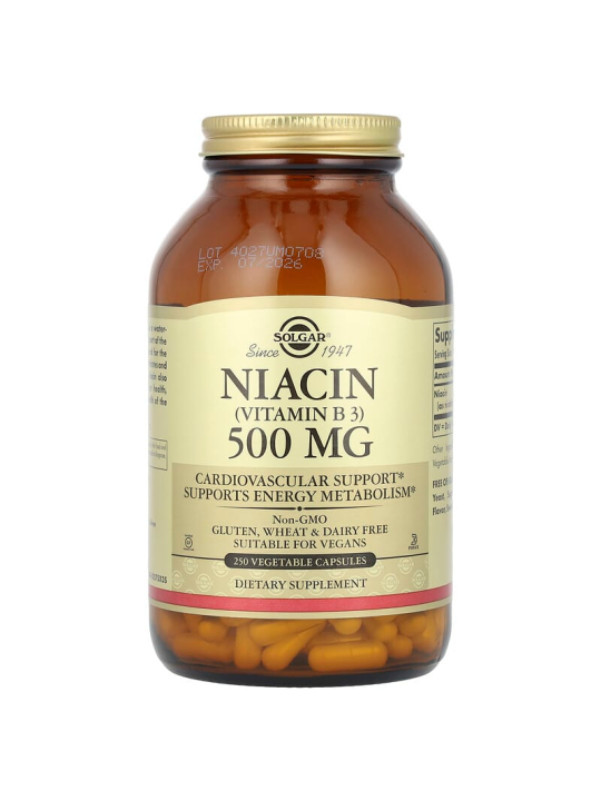 SOLGAR NIACINAMIDA (VIT B3) 500MG